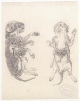 KT 2009 028-372
<br/>
misvormde kitten, zij- en onderaanzicht.
<br/>
<em>Trigt, Stephanus Hendrik Willem van (1790-1840)</em>